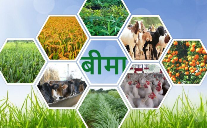 krishi-bima