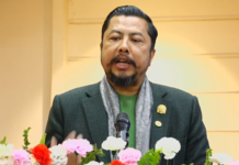 Biraj Bhakta Shrestha Appointed Energy Minister