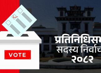 RSP Dominates Kaski: Voters Trust the Party Brand More Than Individual Candidates